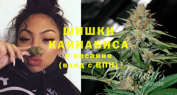 ГАЛЛЮЦИНОГЕННЫЕ ГРИБЫ Лихославль