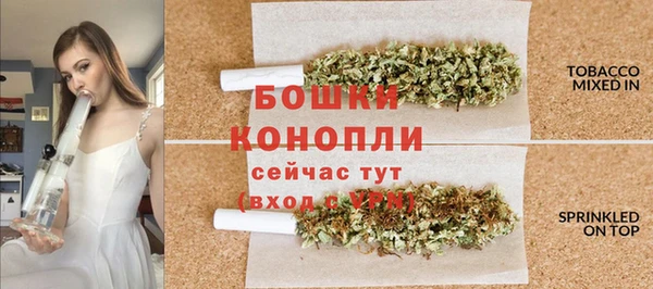 ГАЛЛЮЦИНОГЕННЫЕ ГРИБЫ Липки