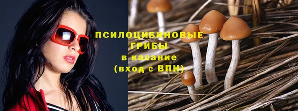 дживик Майский