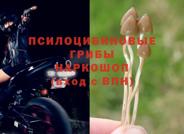 ГАЛЛЮЦИНОГЕННЫЕ ГРИБЫ Липки