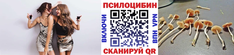 Галлюциногенные грибы Magic Shrooms  Новомичуринск 